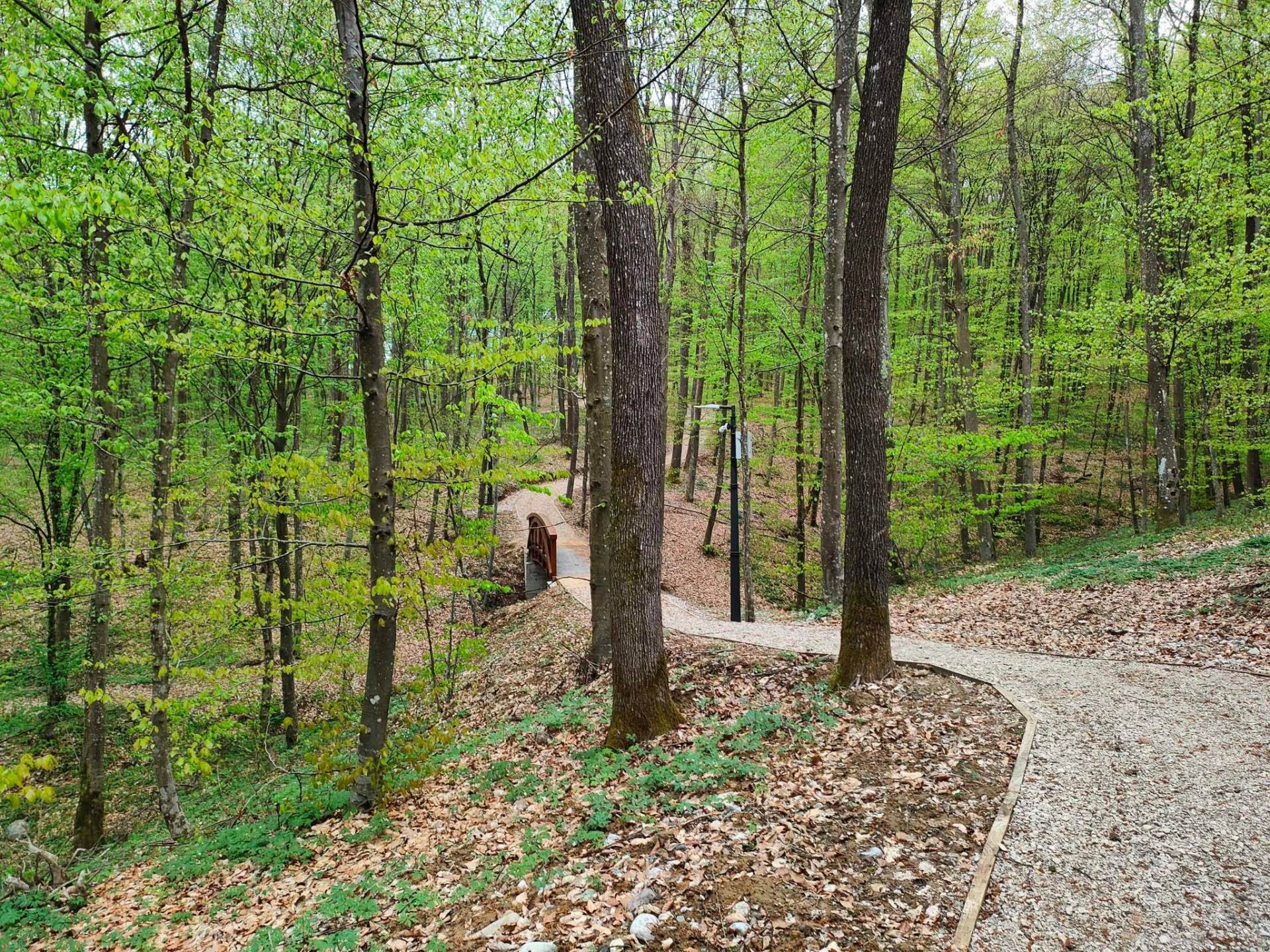 Park šuma Slatina